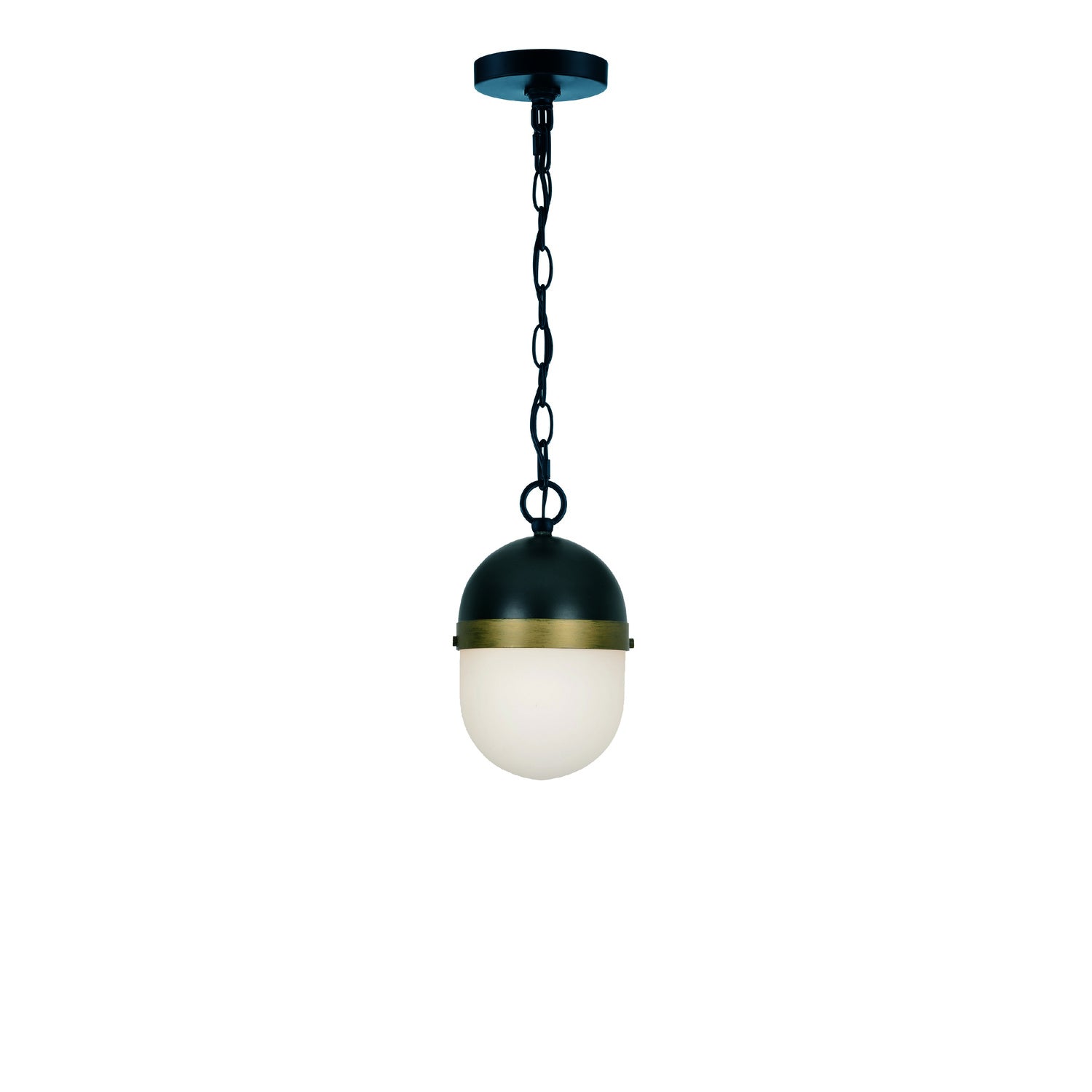Capsule 12.25'' Outdoor Pendant
