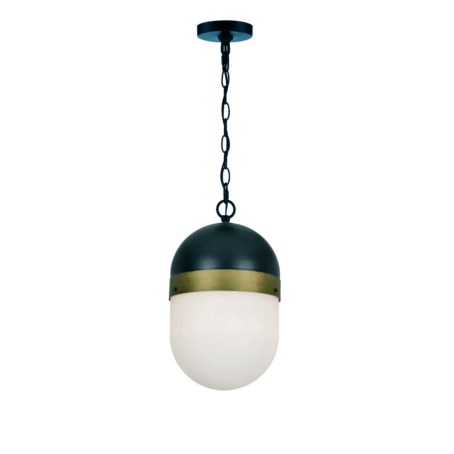 Capsule 8'' Outdoor Pendant
