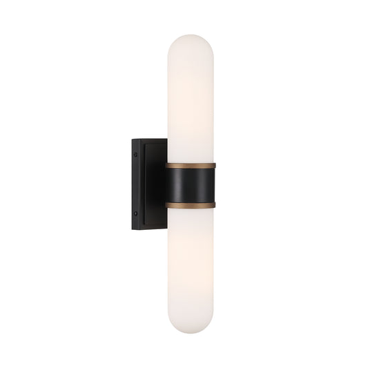 Capsule 18.5'' LED Sconce