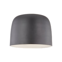 Cayne Flush Mount