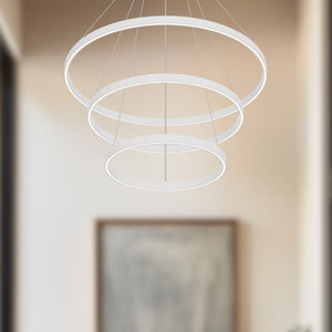 Cerchio 32-in Black LED Chandeliers