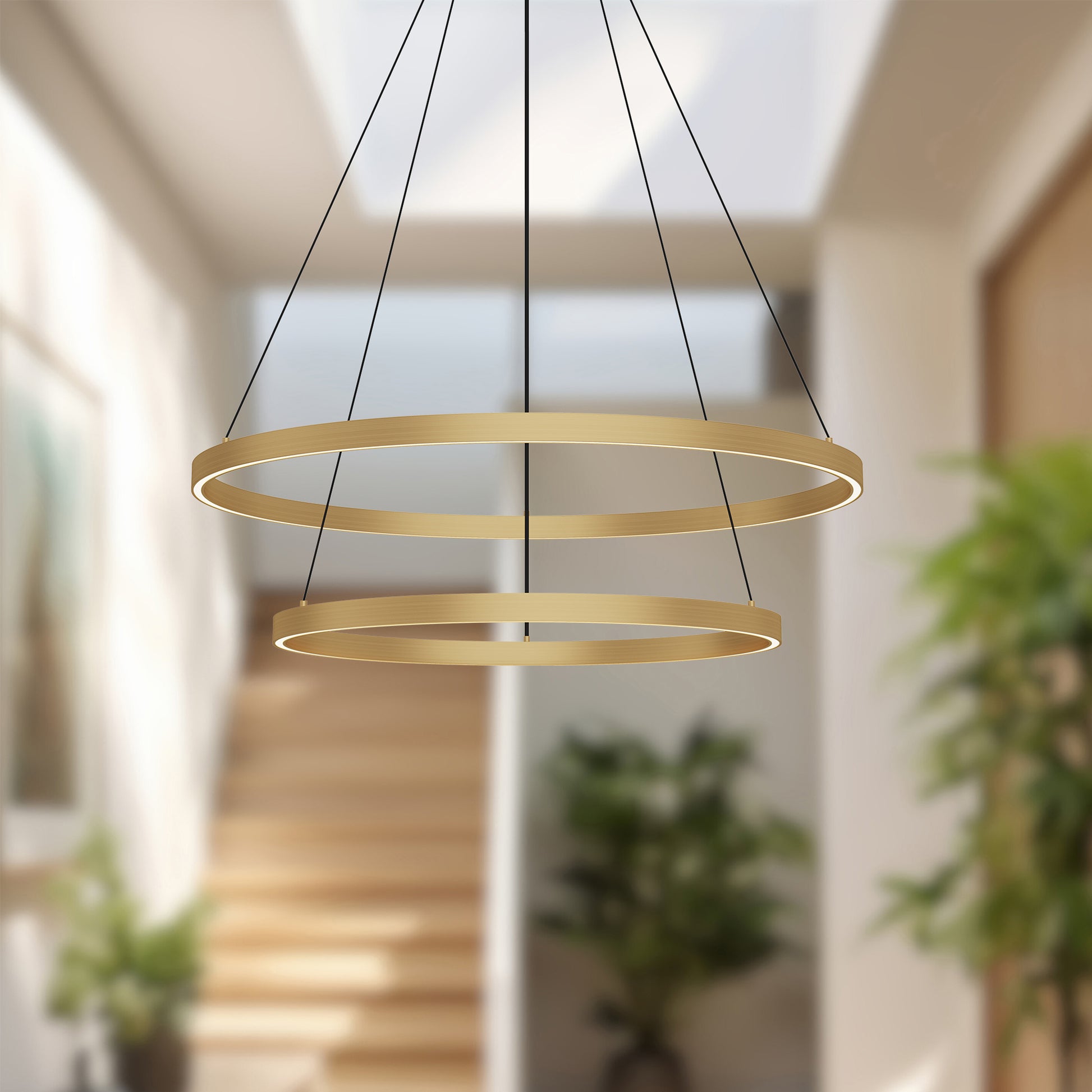 Cerchio 32-in Brushed Gold LED Chandeliers