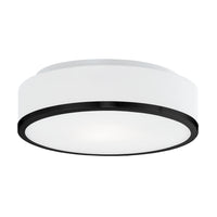 Charlie Flush Mount