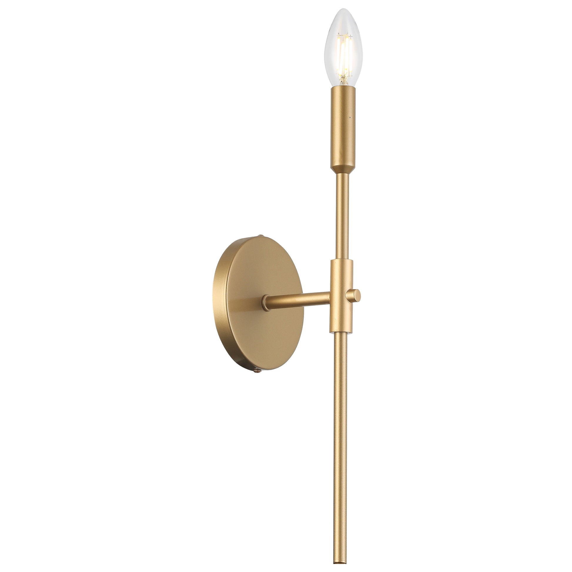 Cinthia 16-in Sconce