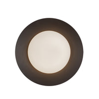 Cleo Wall Sconce