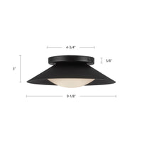 Cleo Wall Sconce