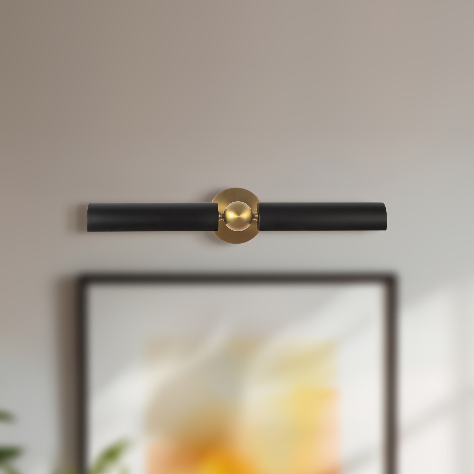 Cole Wall/Picture Light