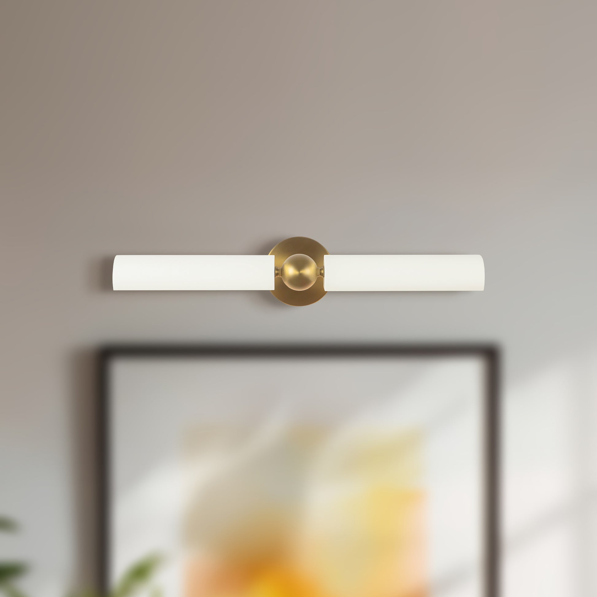 Cole Wall/Picture Light