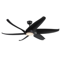 Coronado Ceiling Fan