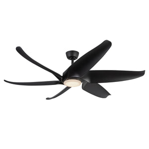 Coronado Ceiling Fan