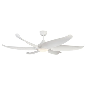 Coronado Ceiling Fan