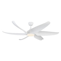 Coronado Ceiling Fan