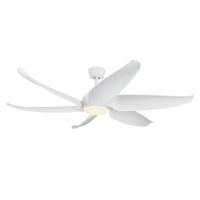 Coronado Ceiling Fan