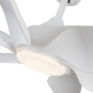 Coronado Ceiling Fan