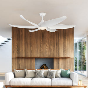 Coronado Ceiling Fan