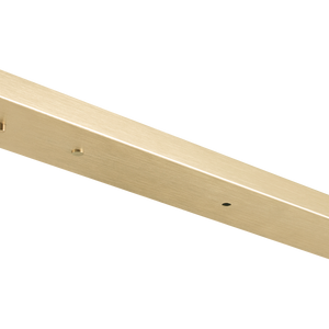 Multi Ceiling Canopy (Line Voltage)