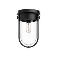 Cyrus Flush Mount