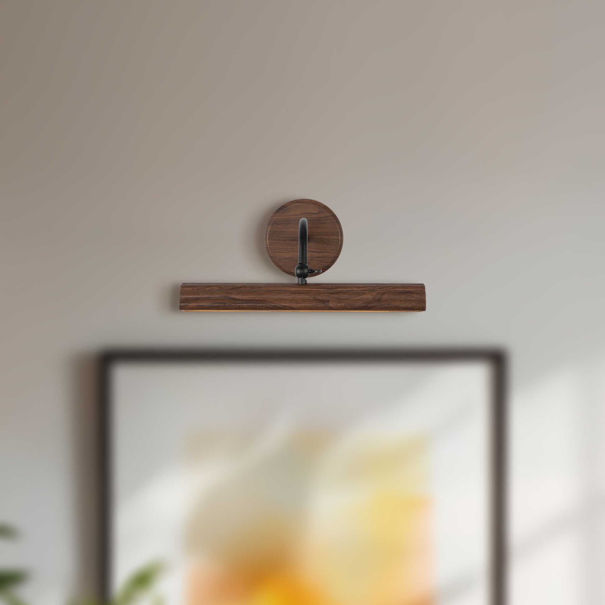 Dottie Wall/Picture Light