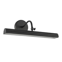 Dottie Wall/Picture Light