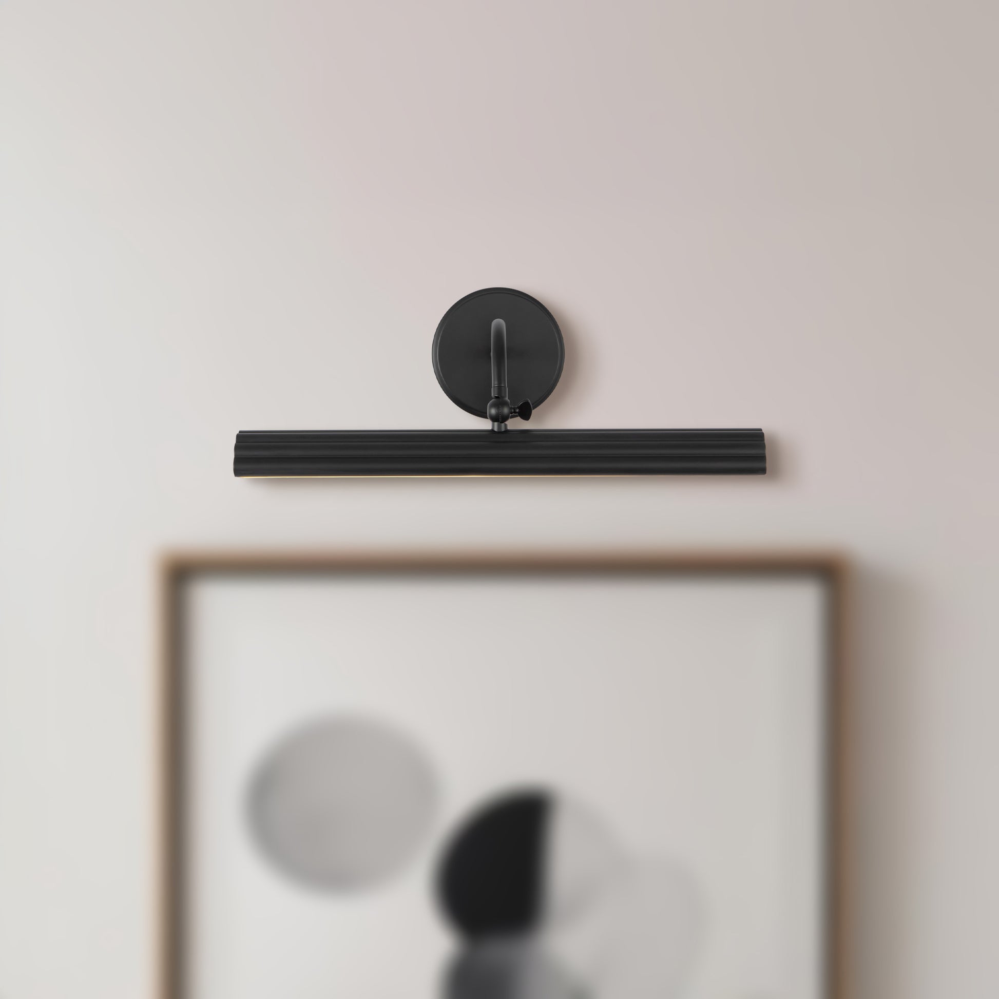 Dottie Wall/Picture Light