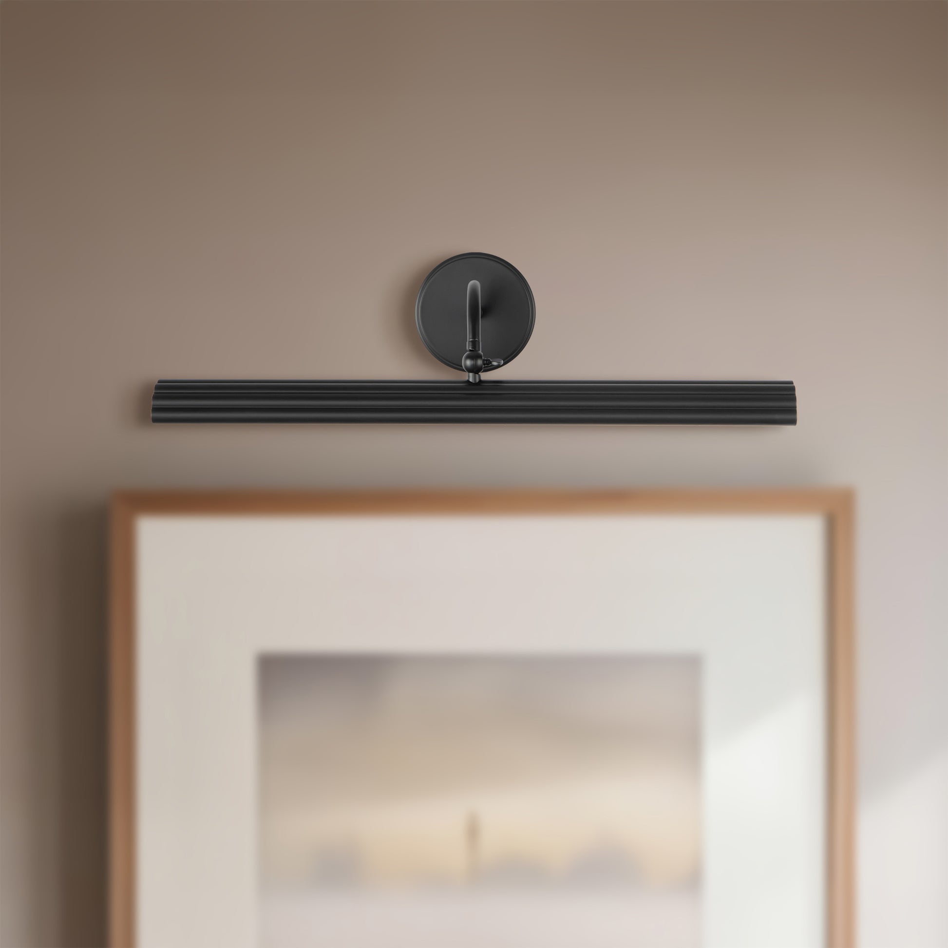 Dottie Wall/Picture Light