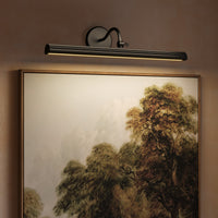 Dottie Wall/Picture Light