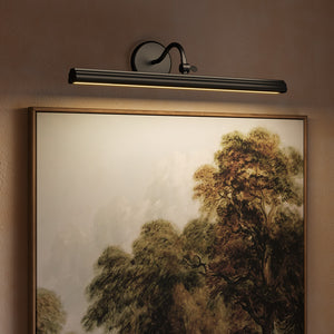 Dottie Wall/Picture Light