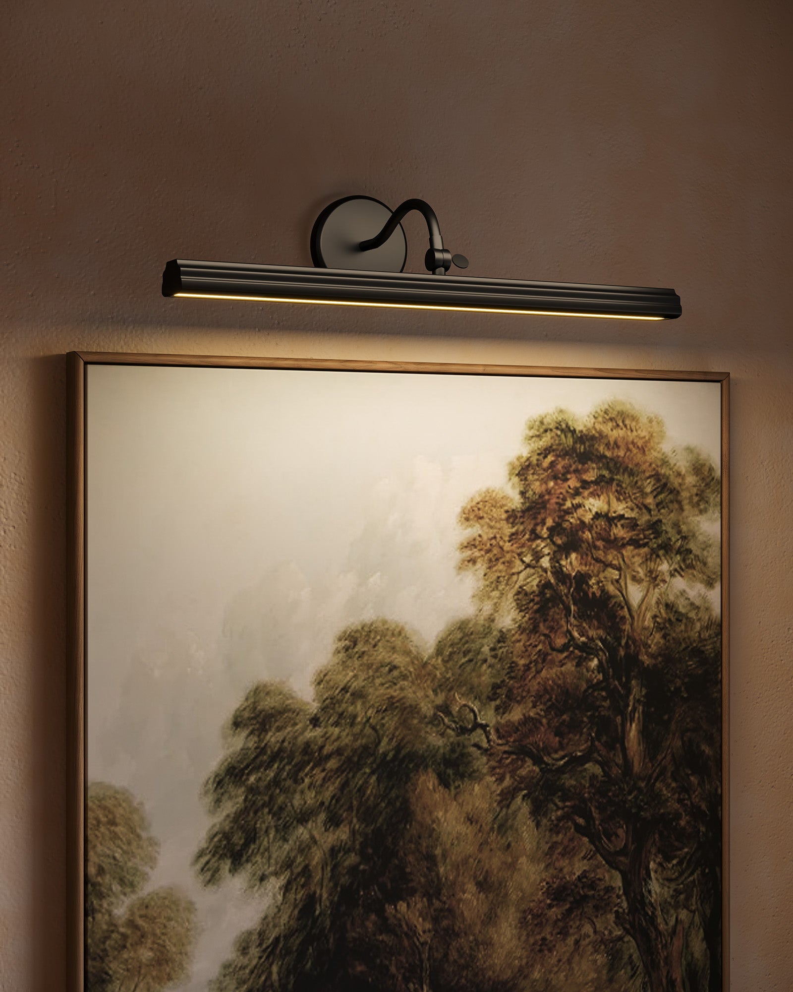 Dottie Wall/Picture Light