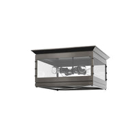 Douglas Flush Mount