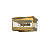 Douglas Flush Mount