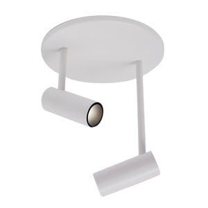 Downey Semi-Flush Mount