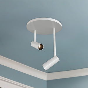 Downey 2-in Flush Mount