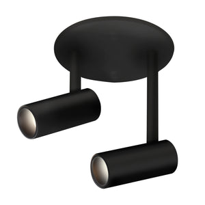 Downey 3-in Flush Mount