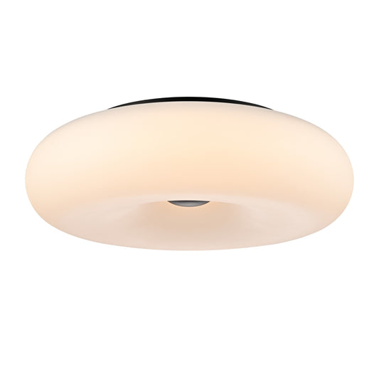 Portage 20" Flush Mount