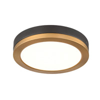 Temagami 9" LED Flush Mount