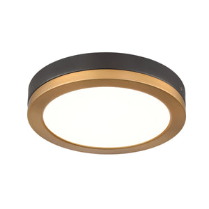 Temagami 9" LED Flush Mount