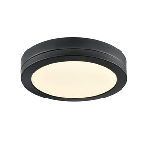 Temagami 9" LED Flush Mount