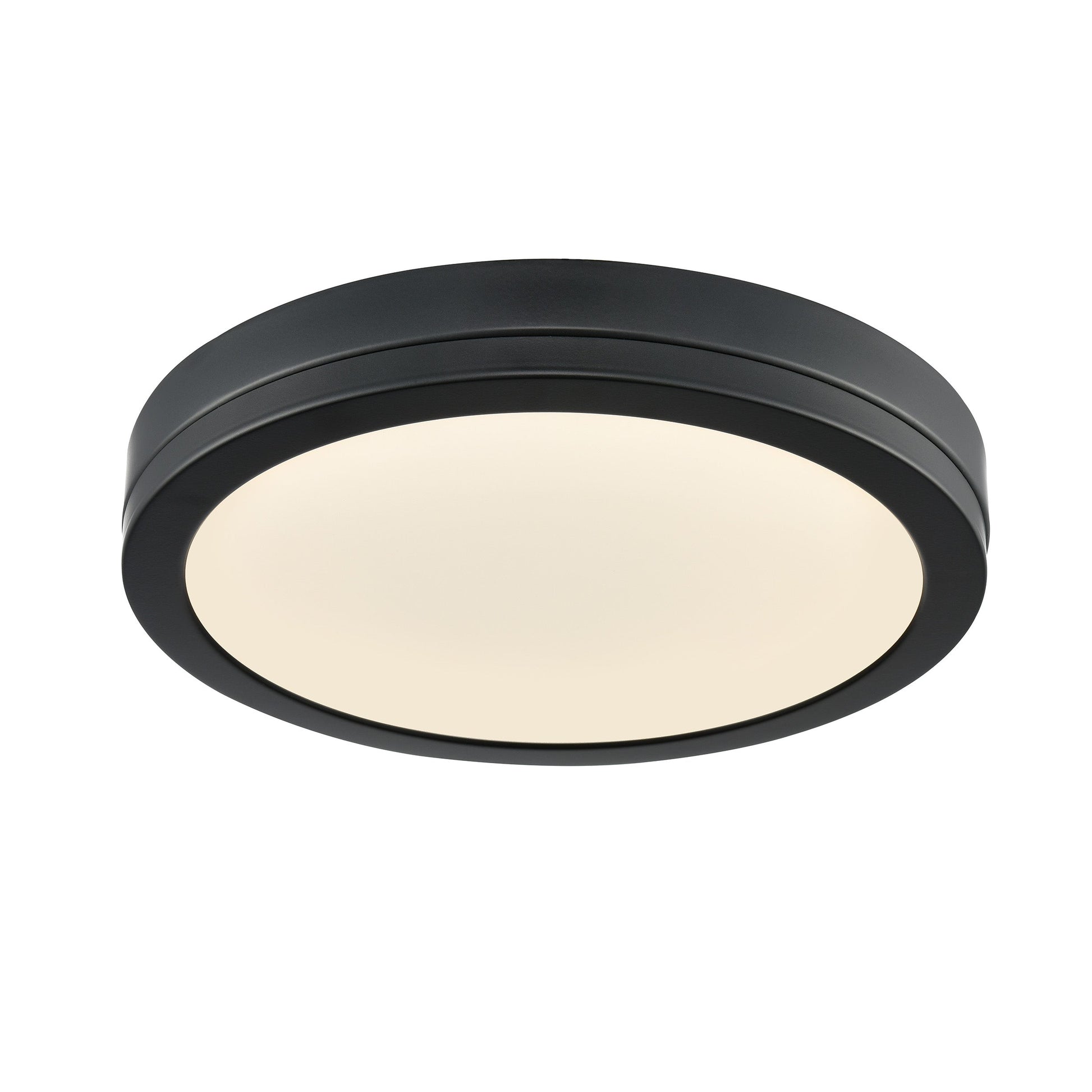 Temagami 12" LED Flush Mount