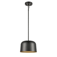 Tuque 10" Pendant