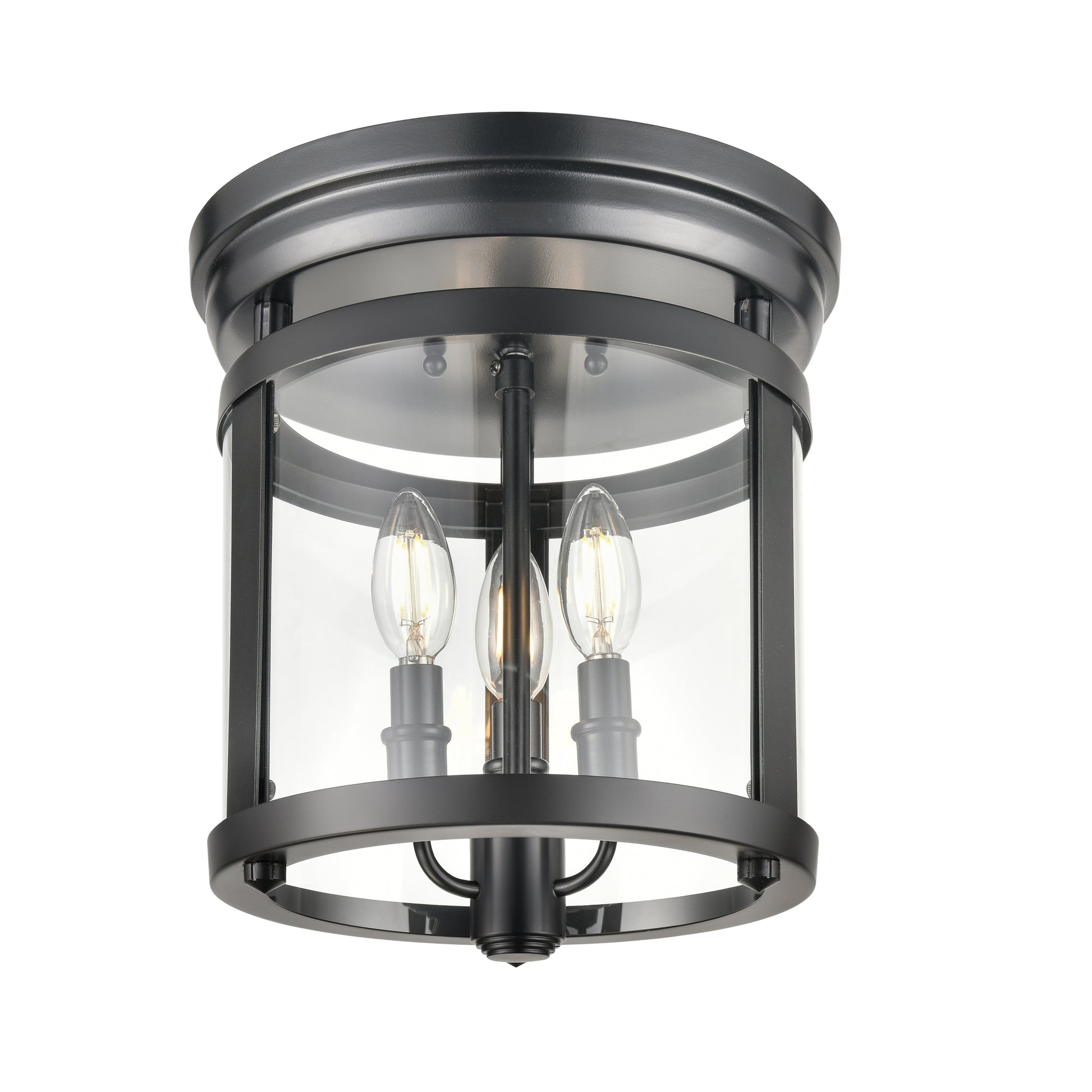 Niagara Special Edition 3-LT Flush Mount