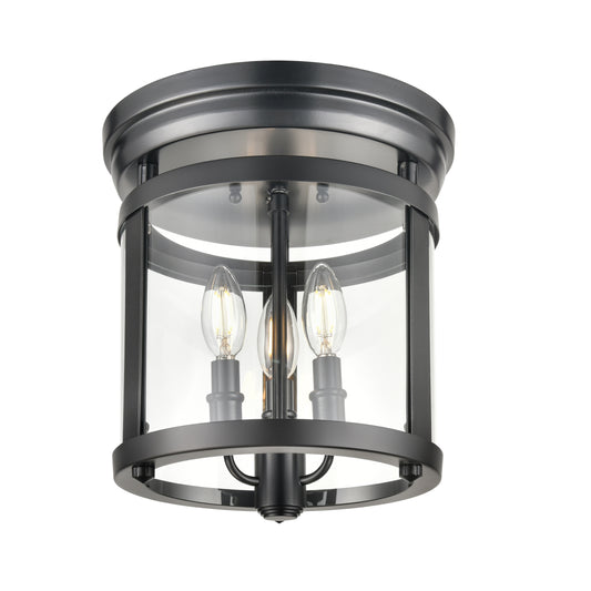 Niagara Special Edition 3-LT Flush Mount