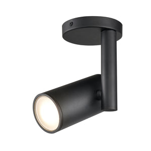 Pond Inlet Outdoor Flush Mount