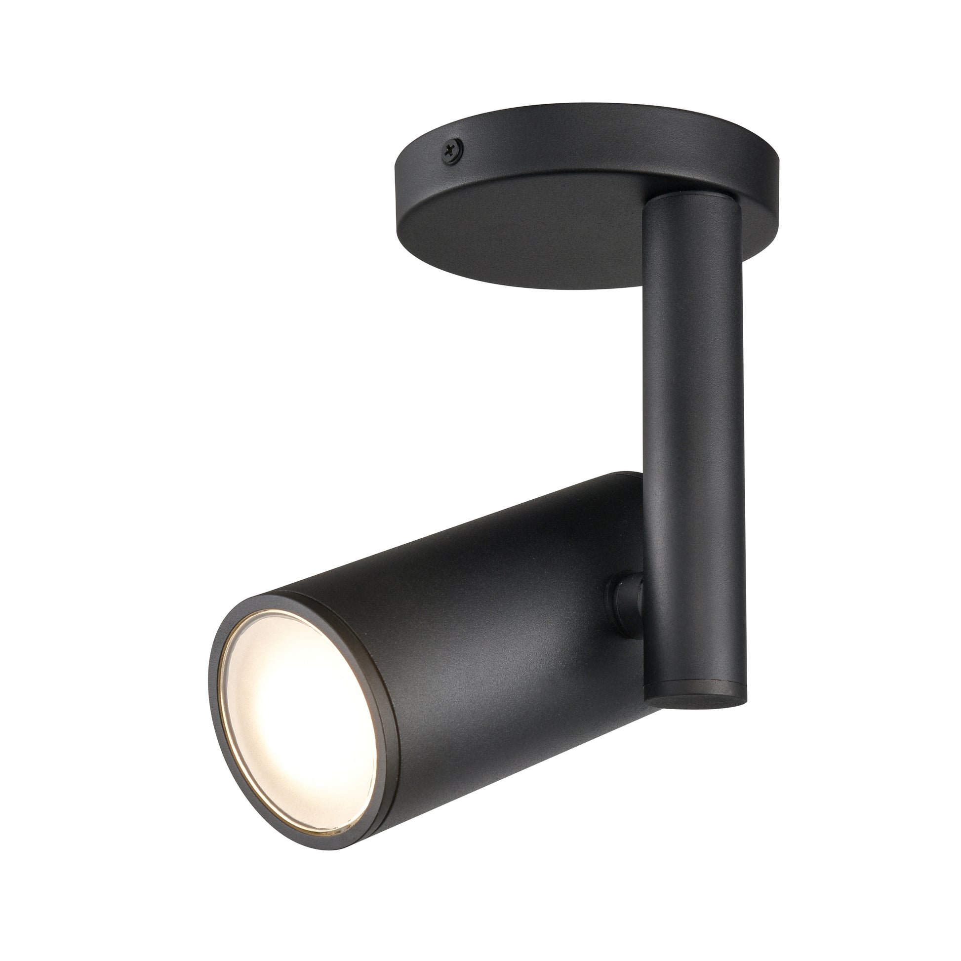 Pond Inlet Outdoor Flush Mount