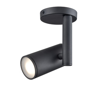 Pond Inlet Outdoor Flush Mount