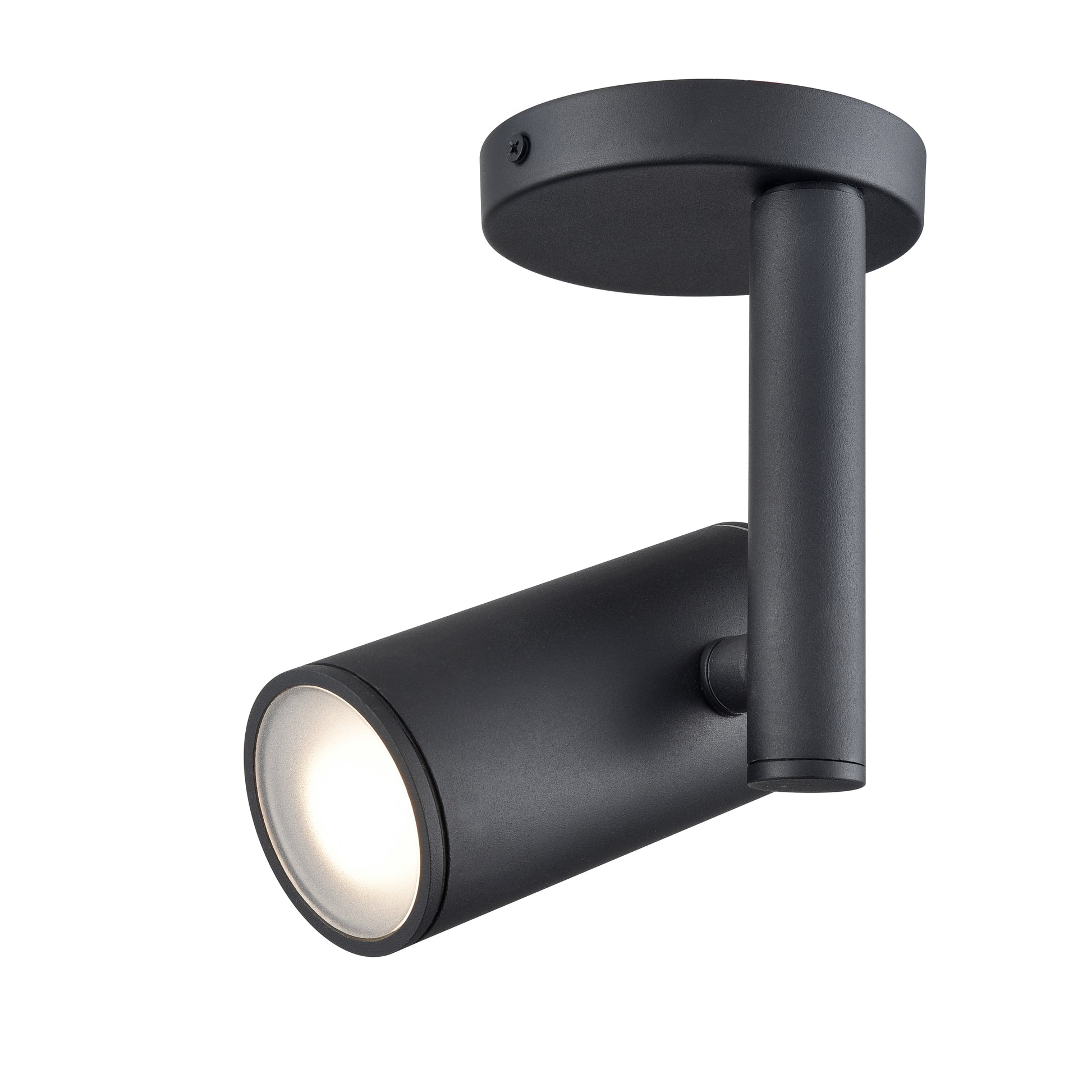 Pond Inlet Outdoor Flush Mount