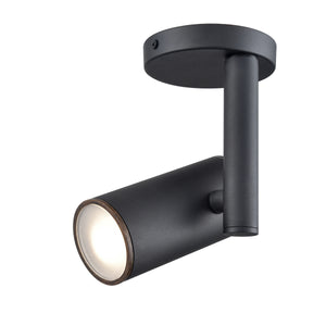 Pond Inlet Outdoor Flush Mount