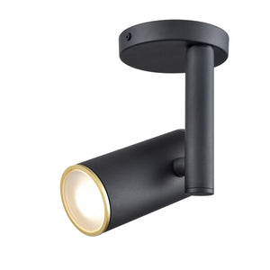 Pond Inlet Outdoor Flush Mount