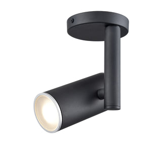 Pond Inlet Outdoor Flush Mount