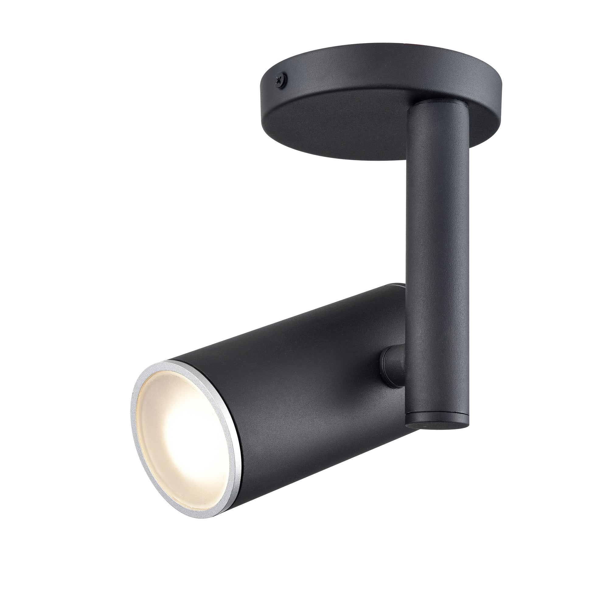 Pond Inlet Outdoor Flush Mount