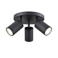 Pond Inlet Outdoor 3-LT Flush Mount